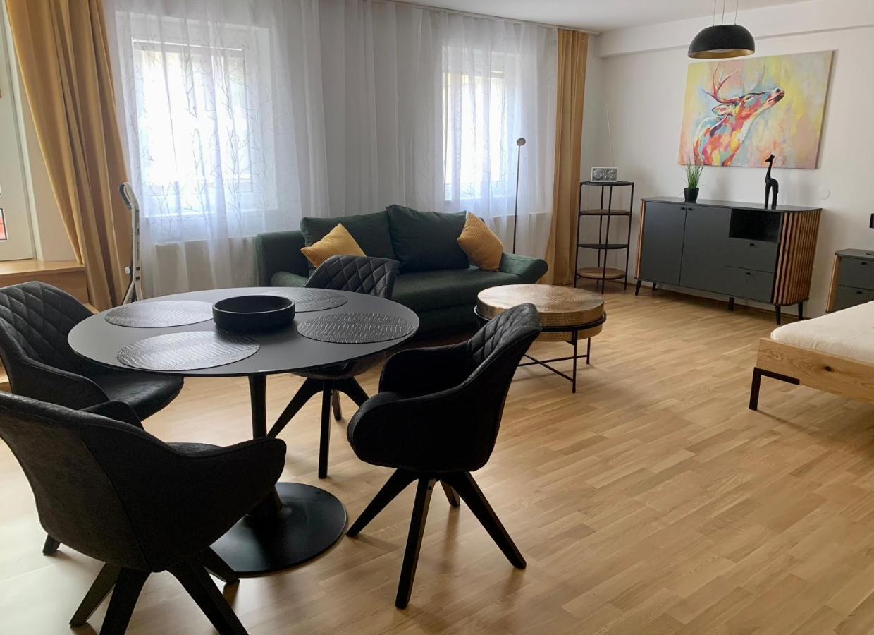 Air-Conditioned, Quiet Apartment With A Terrace In Center Of St Poelten - Smart Tv Sankt Poelten Exteriér fotografie
